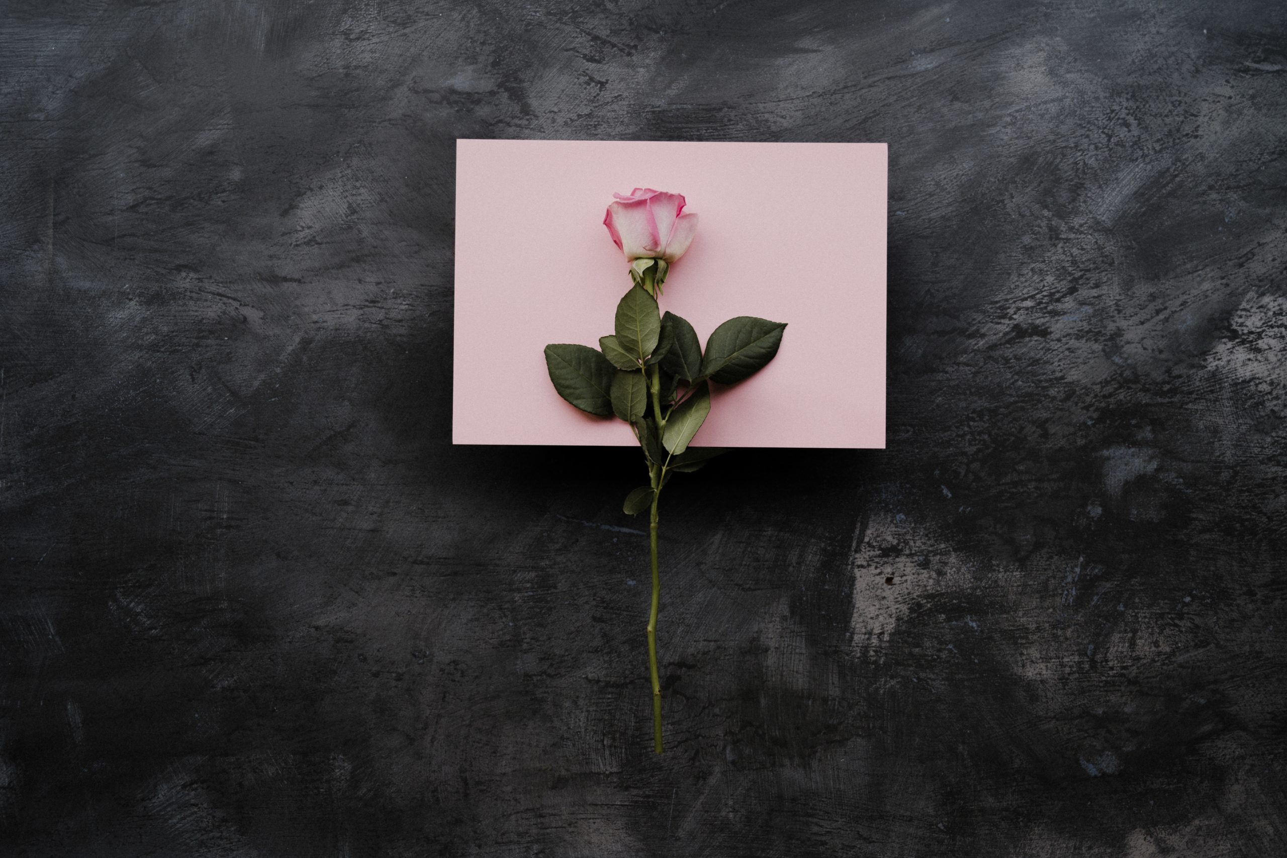 annie spratt Jzmmbwx5xg0 unsplash scaled
