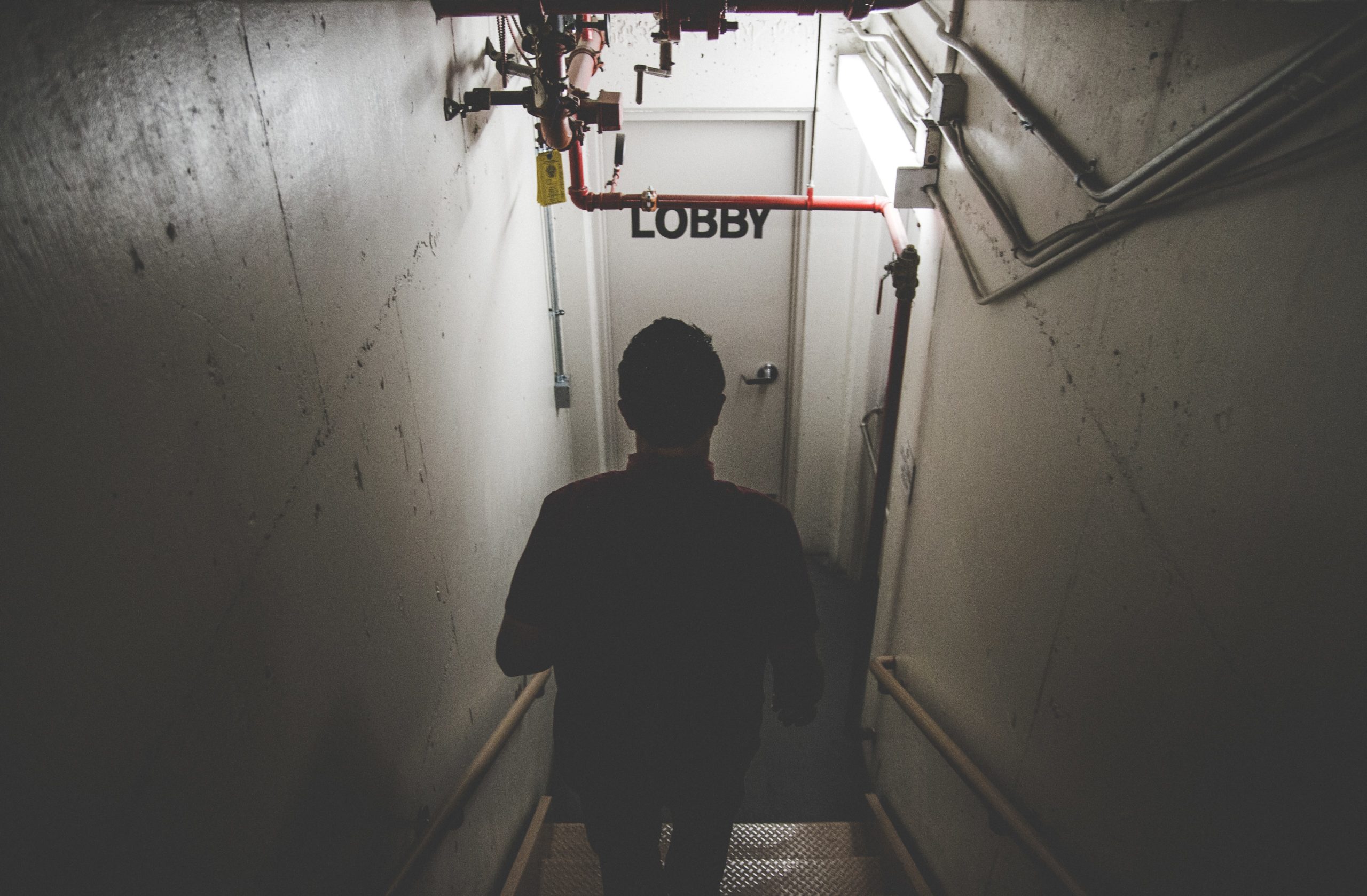 neonbrand mQrKMCuy3AY unsplash scaled