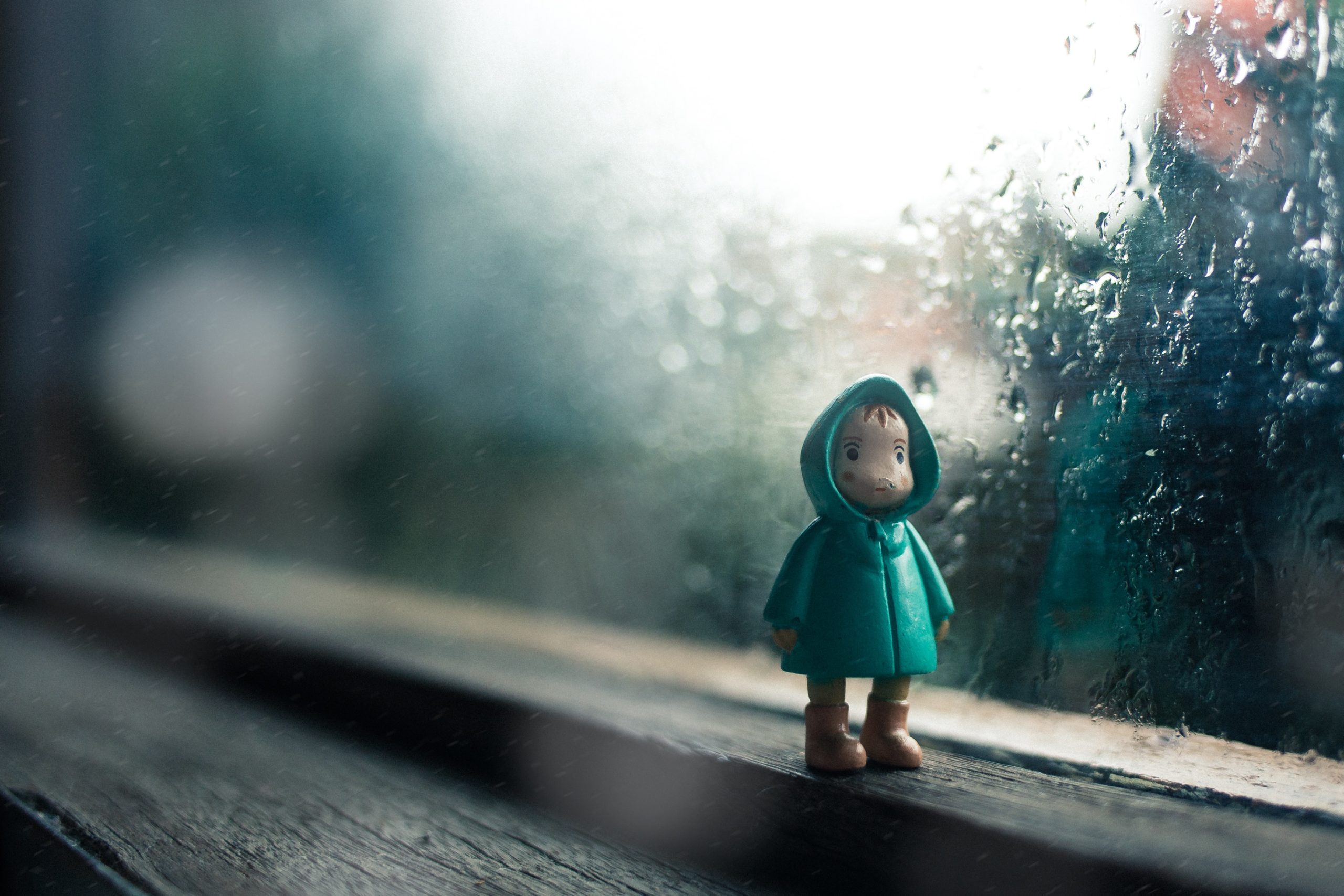 rhendi rukmana H0lTOg1t 0o unsplash scaled